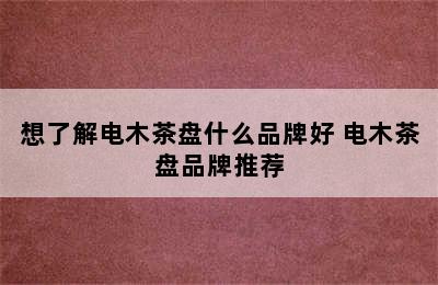 想了解电木茶盘什么品牌好 电木茶盘品牌推荐